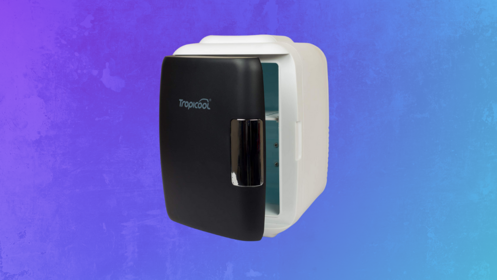 Mini Portable Fridge